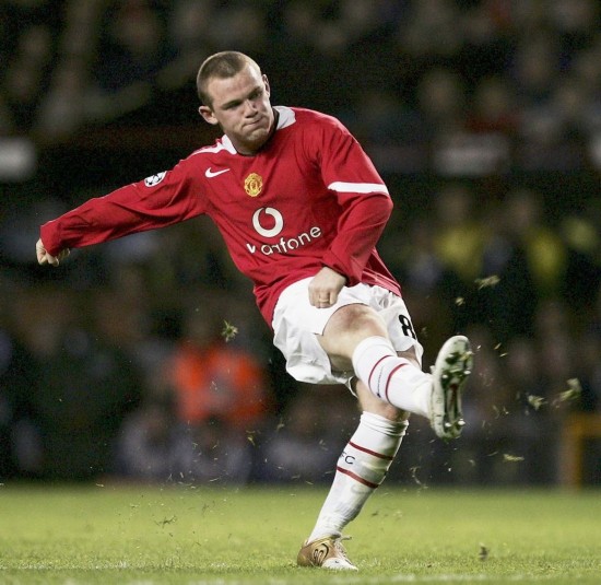 現有的報導 現有的報導