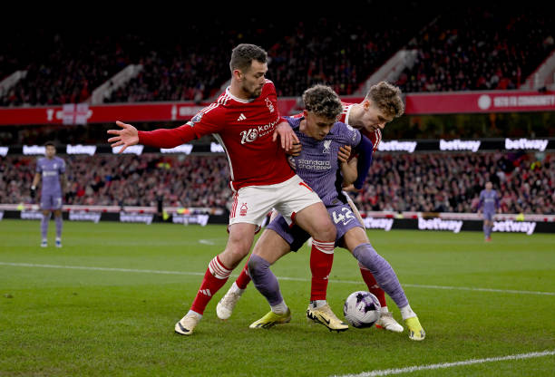 努在中国网 努在中国网