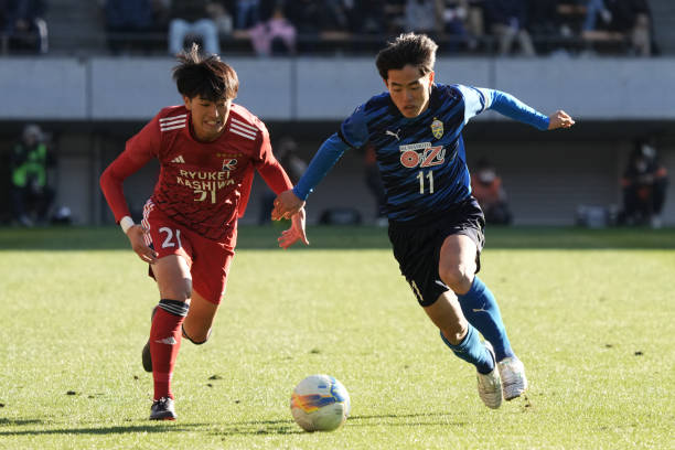 系和年轻球 系和年轻球